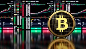 العملات الرقمية و الاسهم وما الفرق بينهم ؟