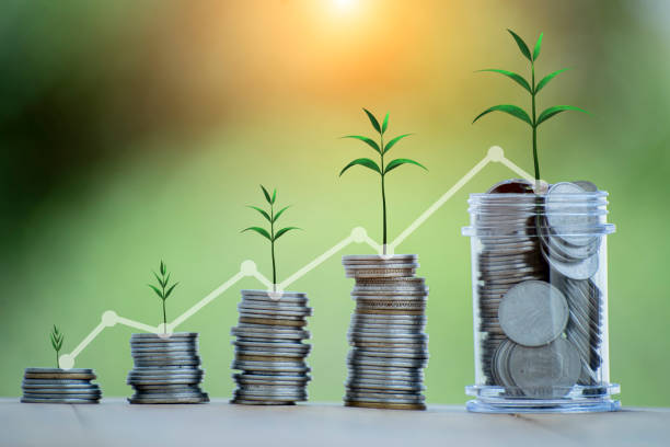 ما هي صناديق التحوط؟