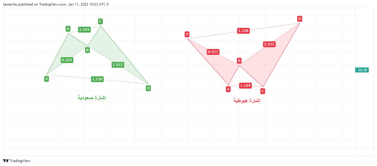 ما هي نماذج الهارمونيك؟